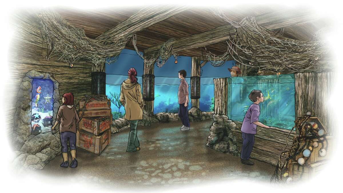 San Antonio's newest aquarium pushes back opening date for the third time