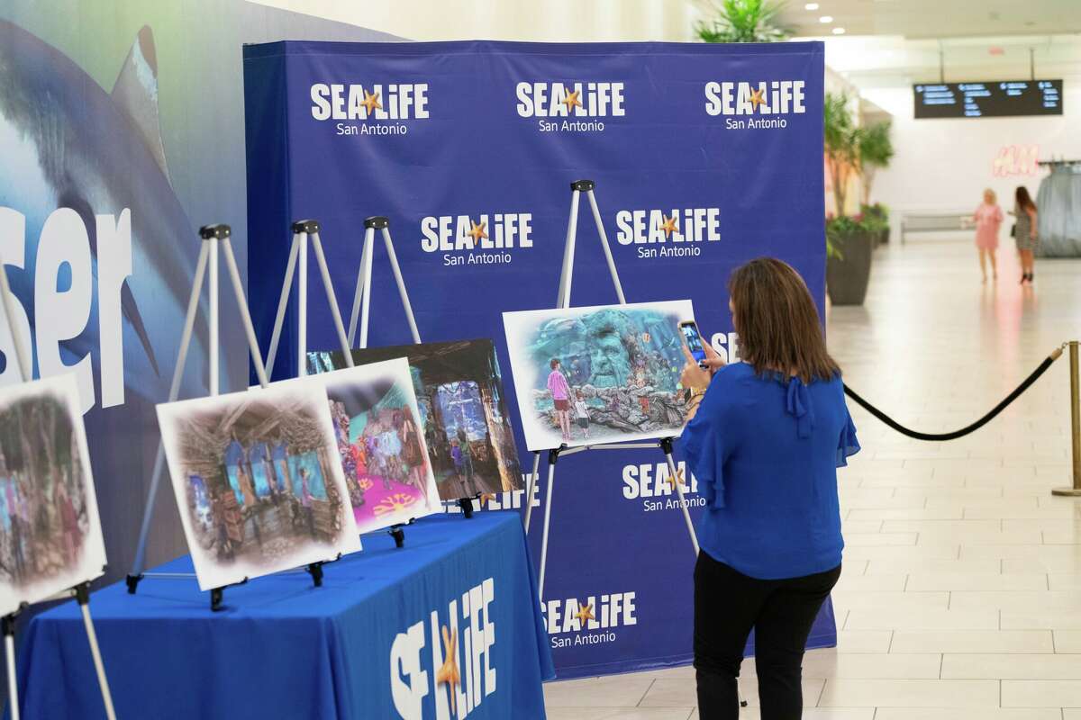 New downtown San Antonio aquarium shares moving photos ahead of 2019