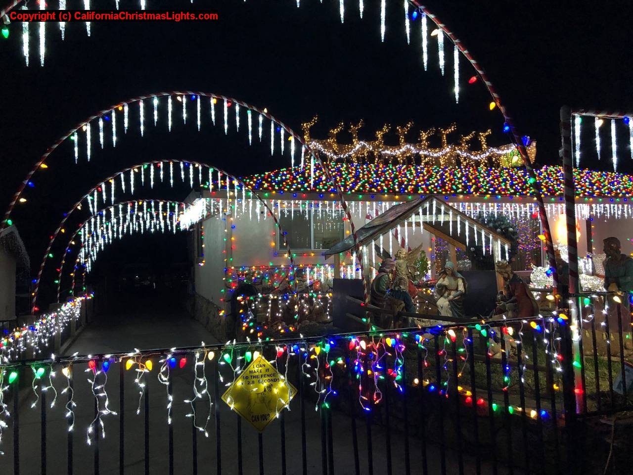 What it's like to live on the Bay Area's Christmas Tree Lane