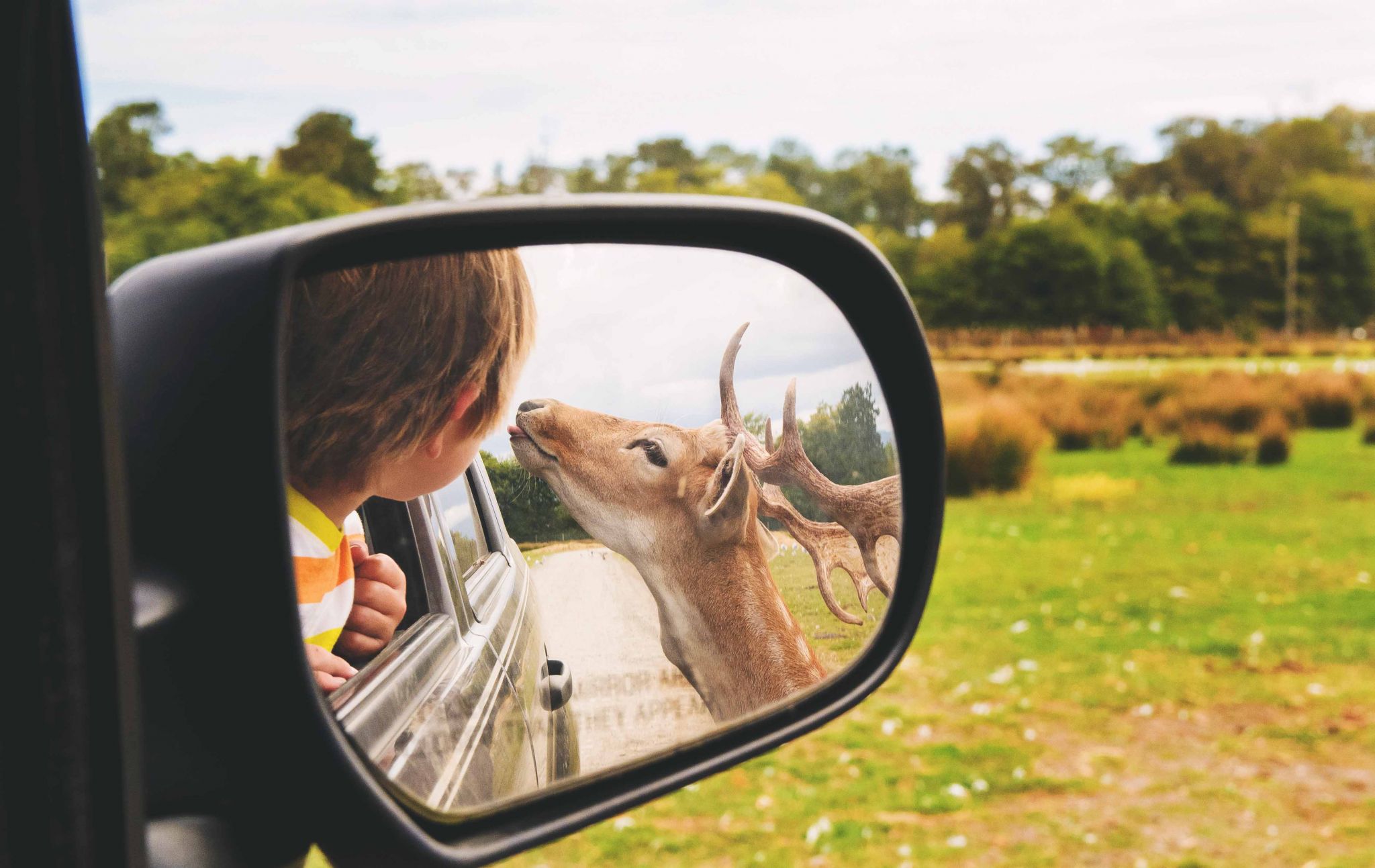 Strange tales, bad behavior: Texas Game Wardens' field stories