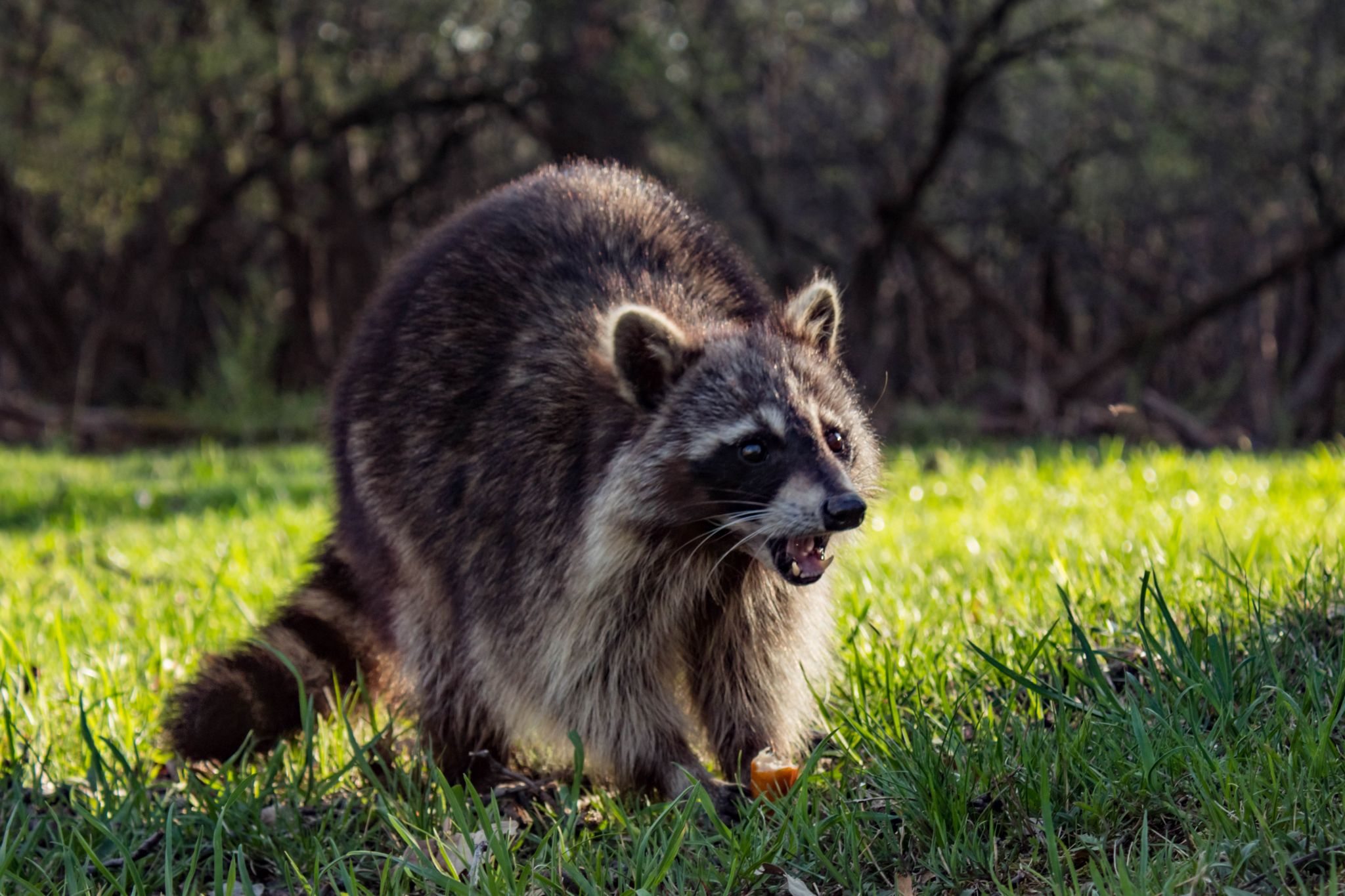 Strange tales, bad behavior: Texas Game Wardens' field stories