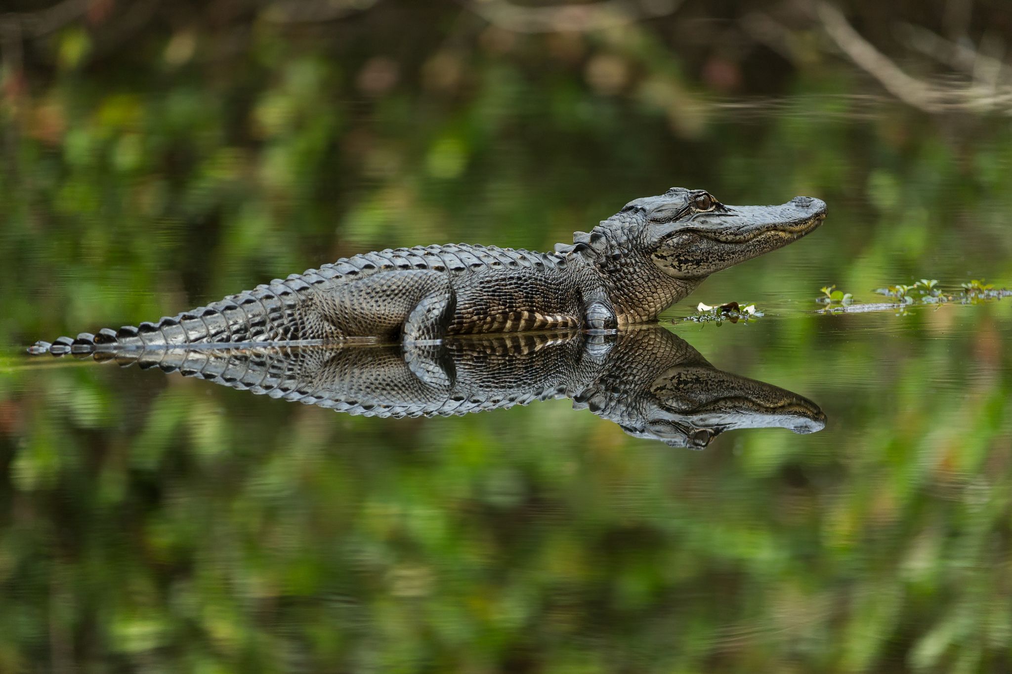 Strange tales, bad behavior: Texas Game Wardens' field stories