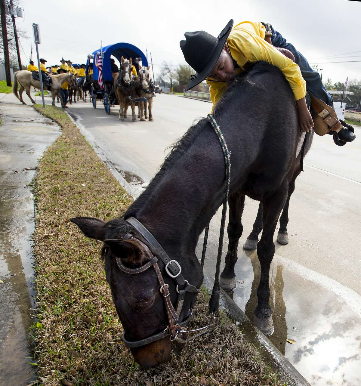 Major Wilson Berthia gives his horse a break to eat some grass as he rides with the Prairie View Trailriders Association along Pinemont as their way toward Memorial Park to on Friday, Feb. 23, 2018, in Houston.