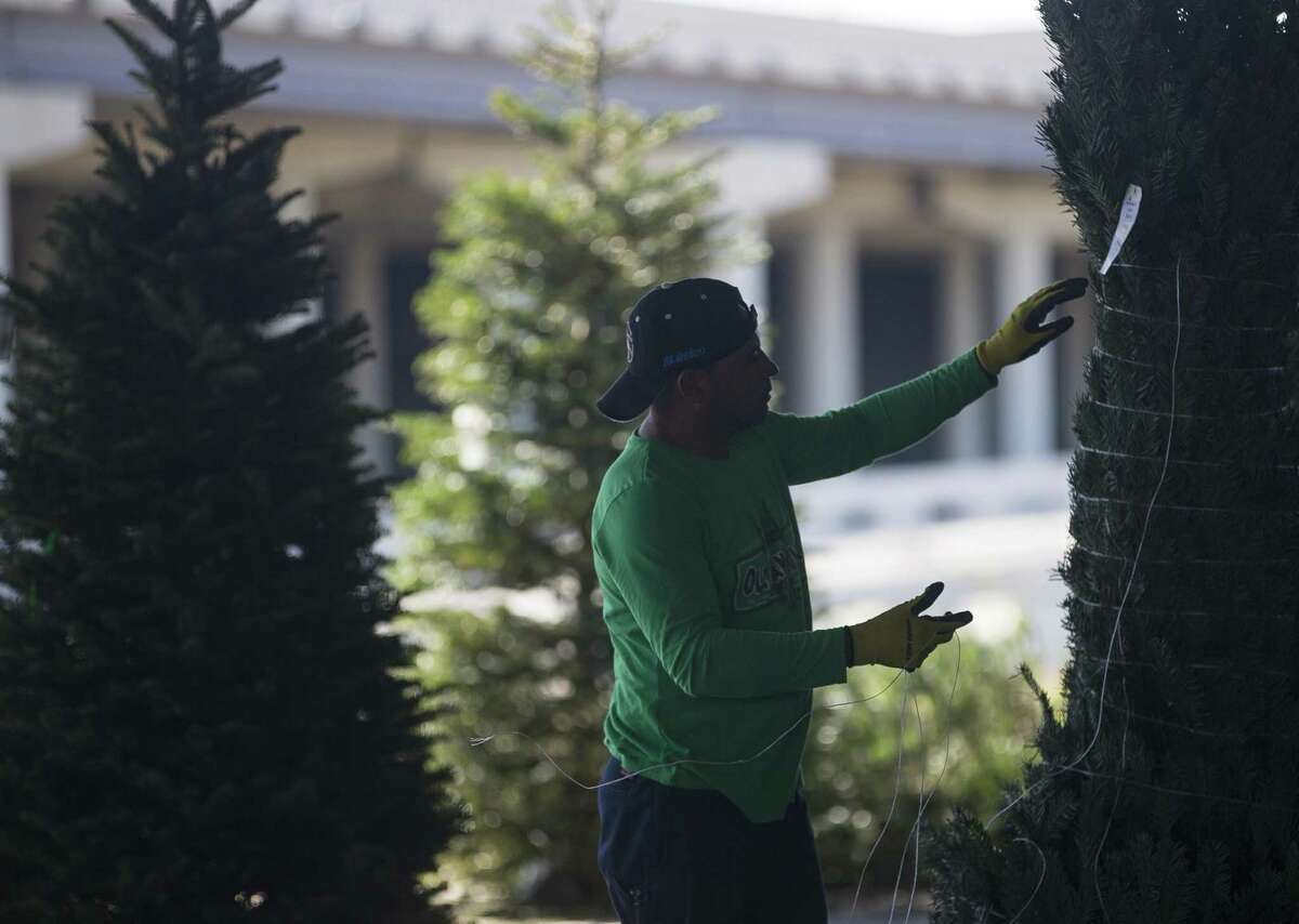 A worker at National Tree & Shrub puts out fresh Christmas trees, Monday, Dec. 3, 2018 in Houston. The nursery on Yale Street procures their Christmas trees from Oregon and offers several services including flocking and home delivery.