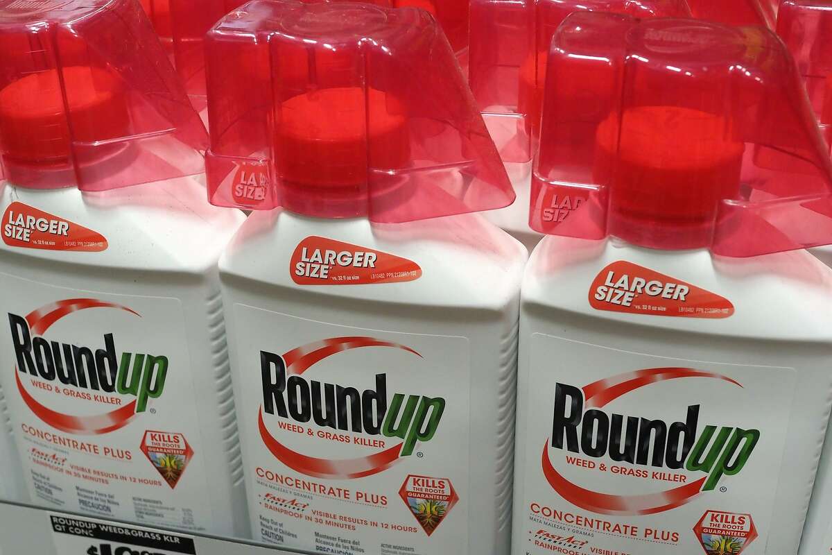 (FILES) In this file photo taken on June 19, 2018 Bottles of Monsanto's Roundup are seen for sale at a retail store in Glendale, California. A Duvall, Washington man filed a lawsuit alleging that Roundup was linked to his non-Hodgkins lymphoma diagnosis. The complaint claims that Monsanto was negligent in their labeling, packaging and promotion.