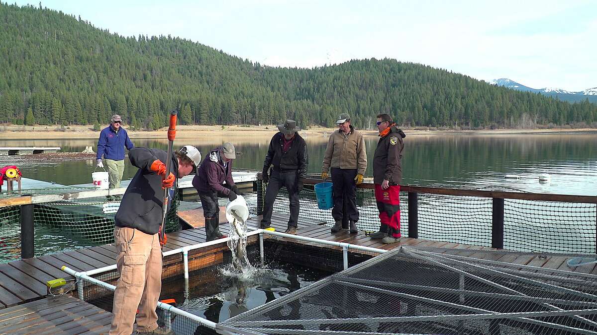 Trout pens give hope to catch fish of lifetime