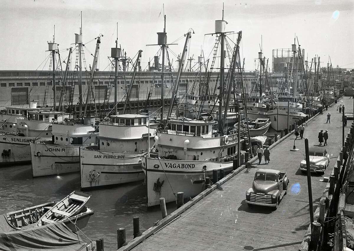 Sardine fishing boat fleet at Fisherman's Wharf, August 28,1949
