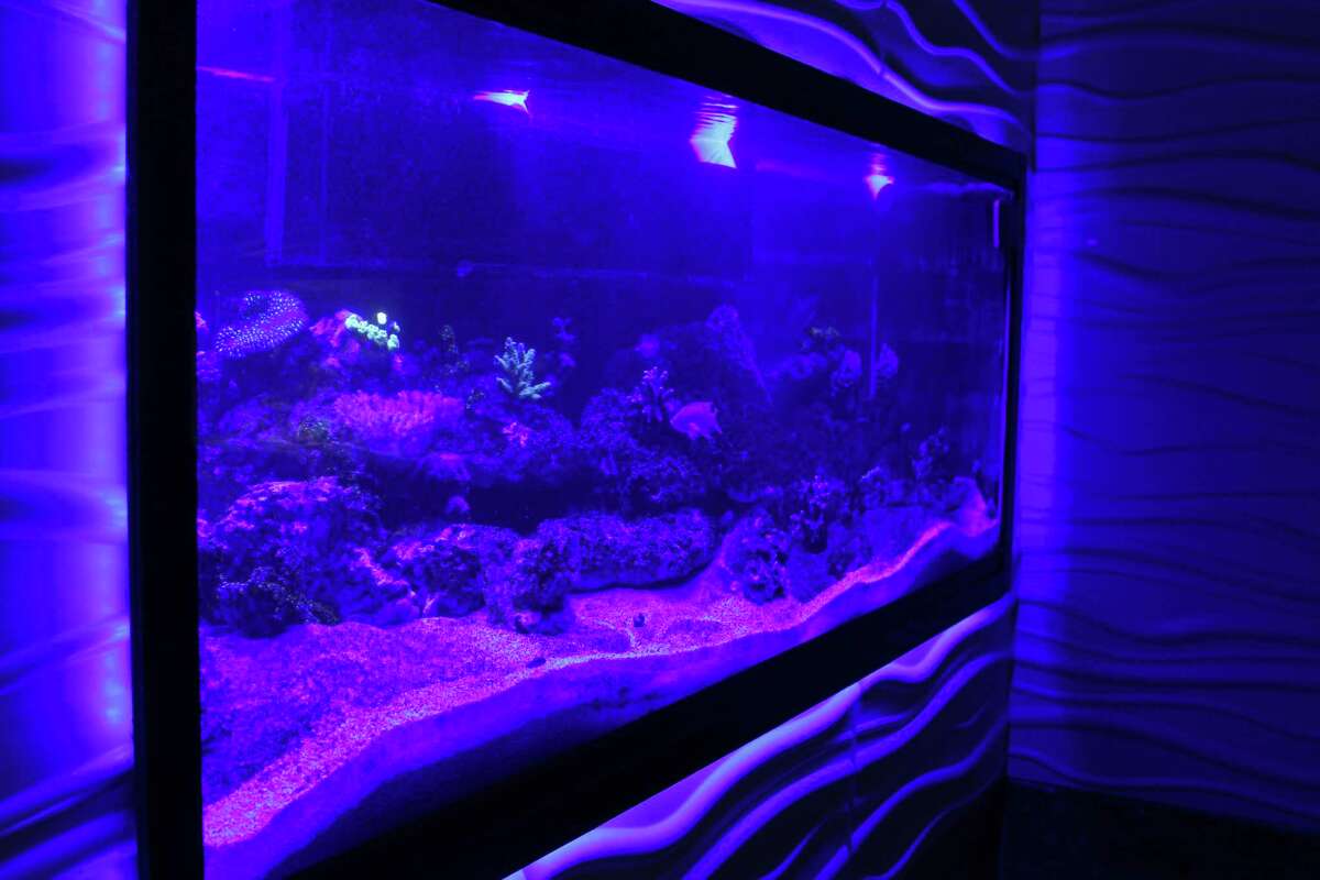 San Antonio Aquarium ponders future in Leon Valley