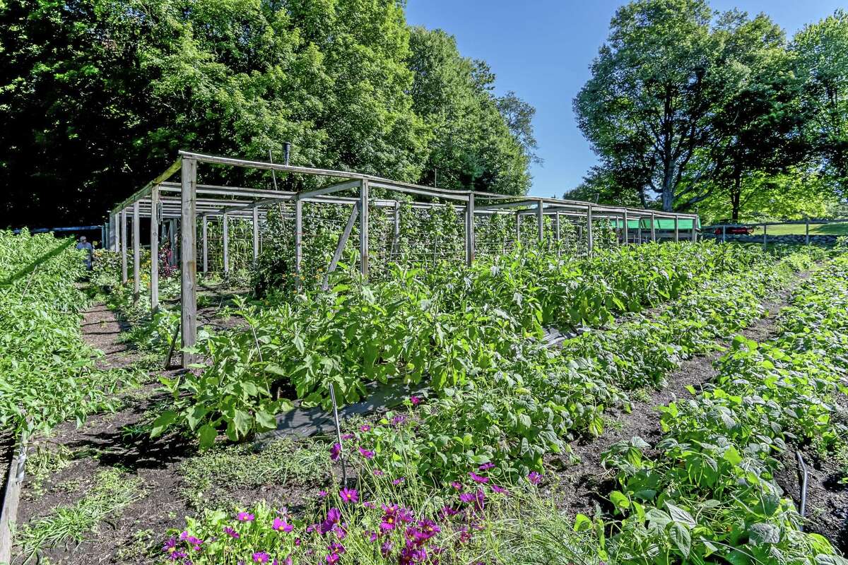 Local couple looks to bring the fun to the Millstone Farm