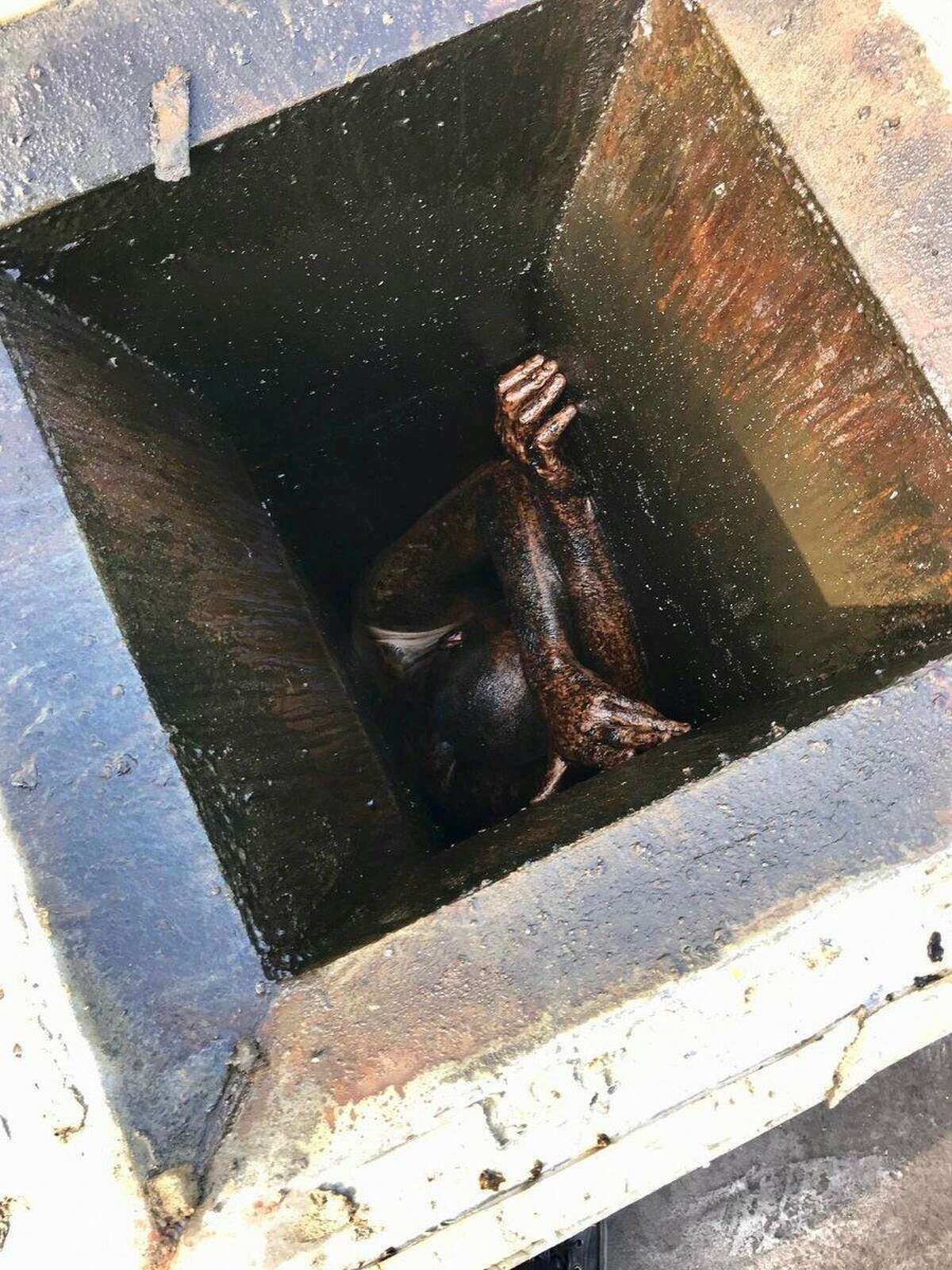 Alameda County officials on Dec. 12, 2018 rescued a man trapped in a San Lorenzo restaurant’s grease vent for two days.