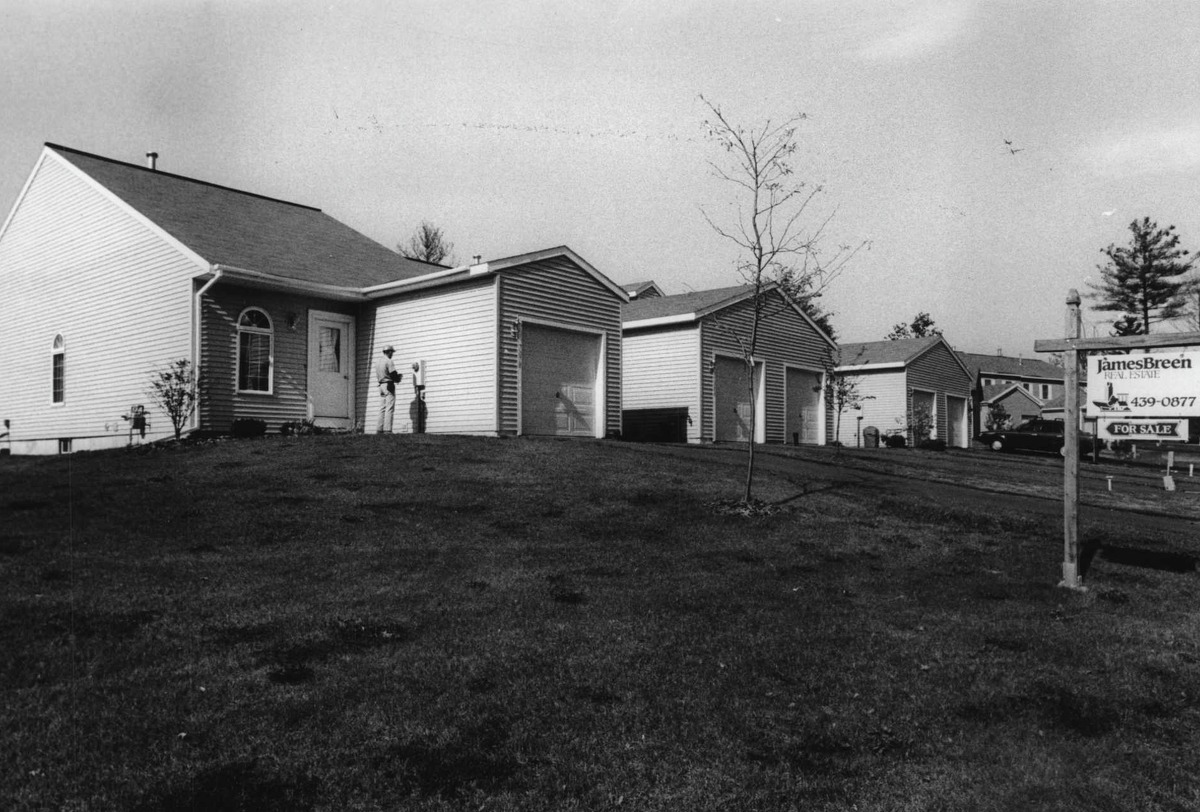 No town arborist protects Guilderland trees