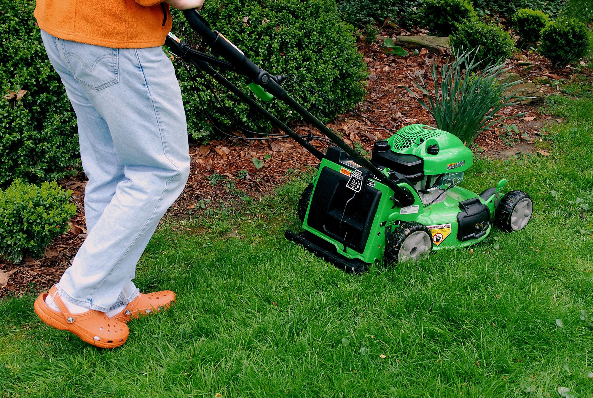 Texas man jailed for not mowing his yard