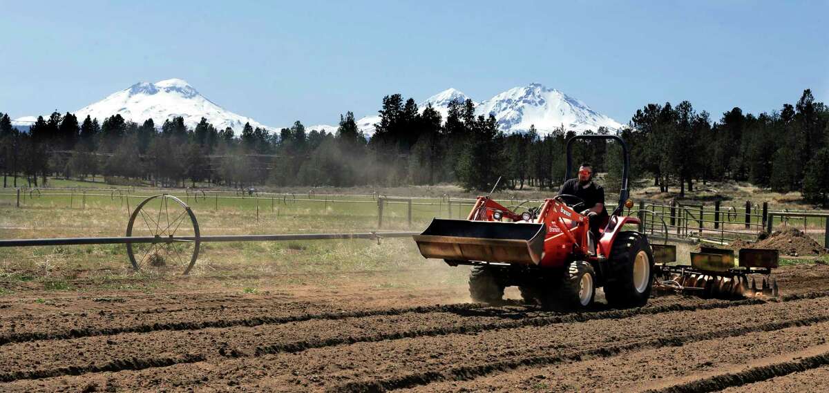 FILE - In this April 23, 2018 file photo, Trevor Eubanks, plant manager for Big Top Farms, readies a field for another hemp crop near Sisters, Ore. Hemp is about to get the federal legalization that marijuana, its cannabis cousin, craves. That unshackling at the national level sets the stage for greater expansion in an industry seeing explosive growth through demand for CBDs, the non-psychoactive compound in hemp that many see as a way to better health.