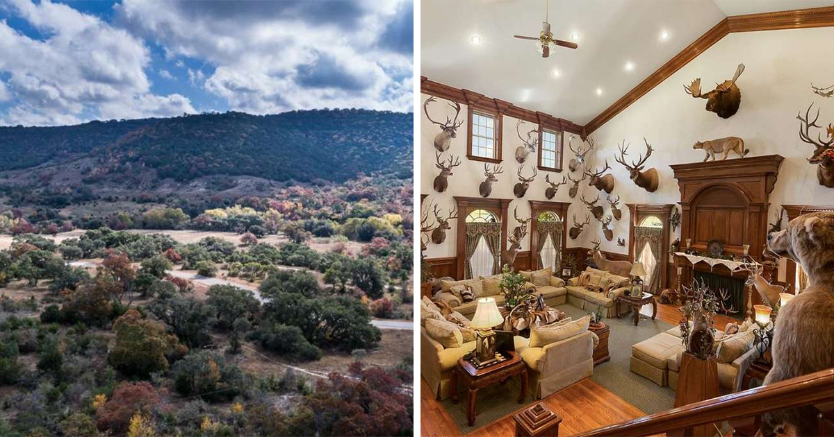 Some of Texas' biggest ranches are on the market