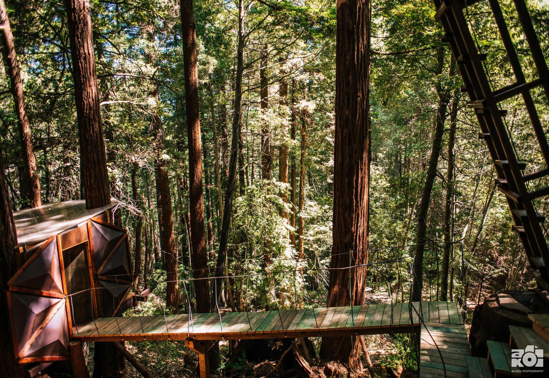 The Pinecone Treehouse | uniquely designed panoramic nature