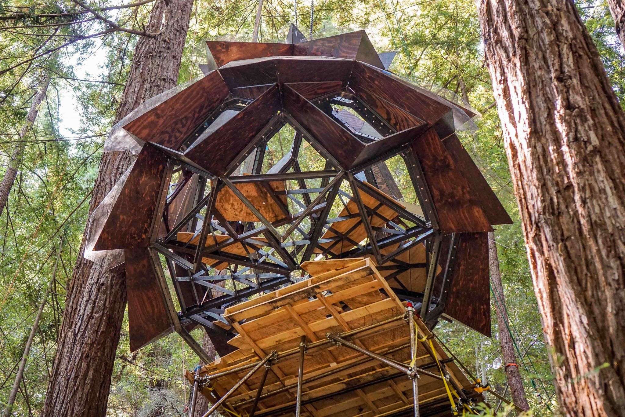 An Oakland company is selling a dazzling pinecone shaped treehouse