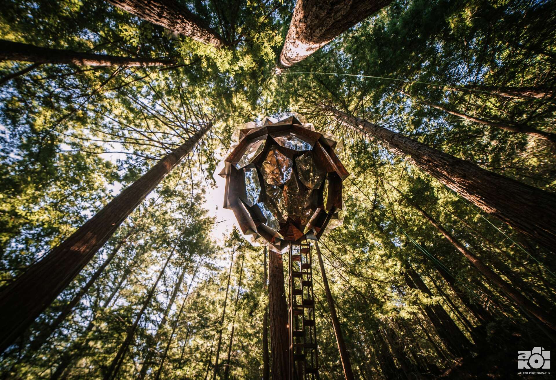 pine treehouse様 An Oakland company is selling a dazzling pinecone-shaped