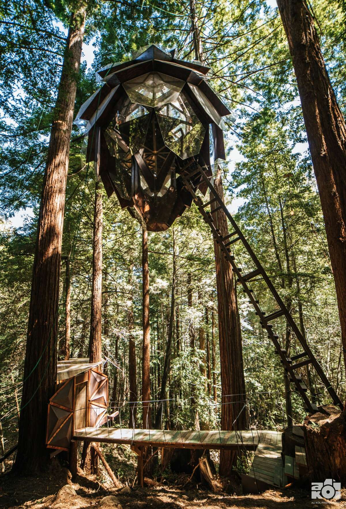 pinecone treehouse airbnb