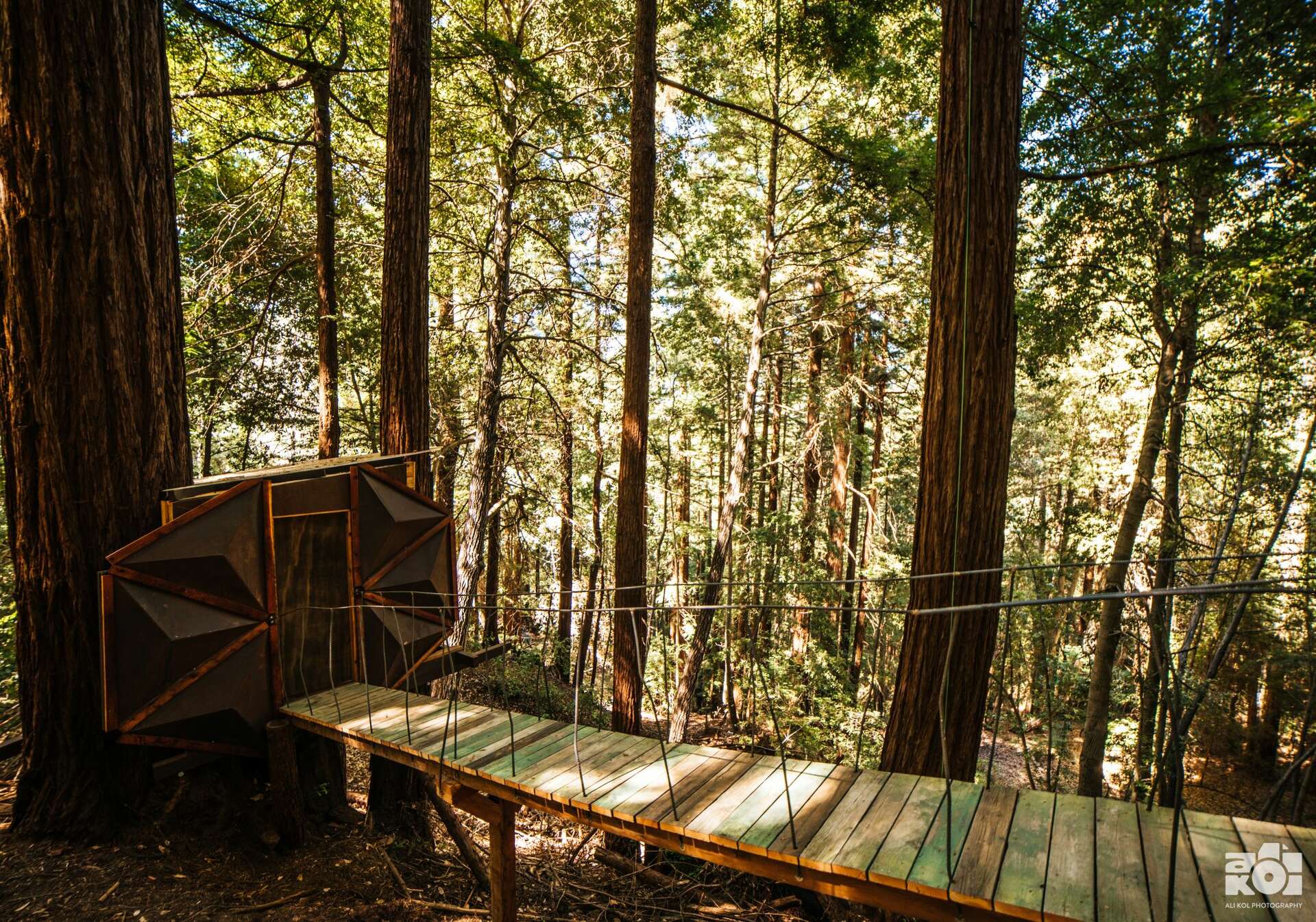 pine treehouse様 An Oakland company is selling a dazzling pinecone-shaped