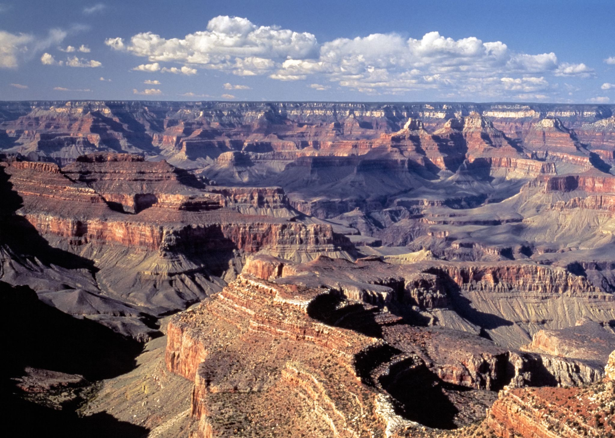 A health-care exec vowed to follow covid rules. Then he led a 153-person Grand Canyon hike, rangers say. - Vimarsana News