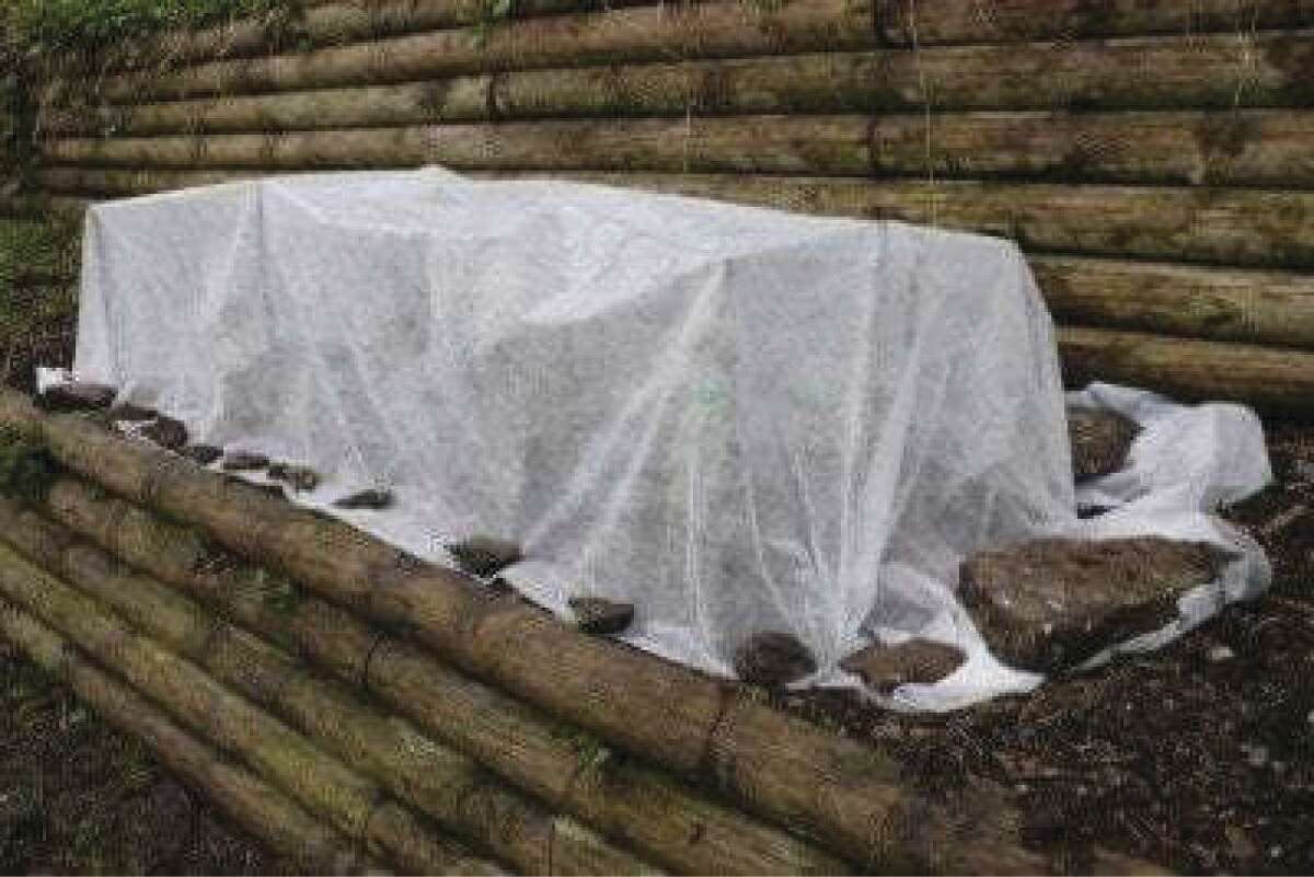 A Plastic Bin Garden - Laidback Gardener