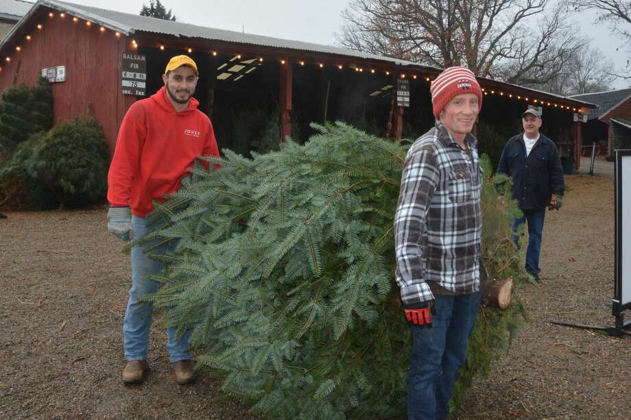 SEEN Christmas tree shopping at Jones Family Farms 2018 Connecticut Post
