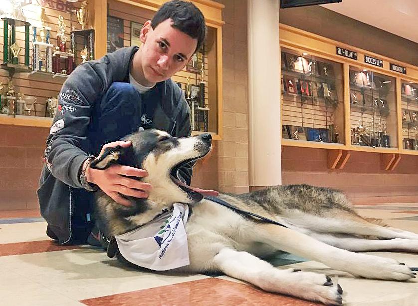 Therapy dogs help Shoreline students with exam jitters