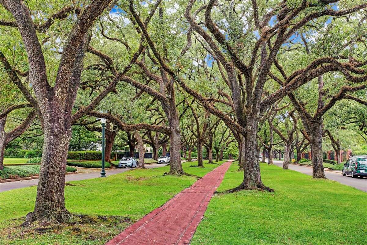 The Houston area's best backdrops for family photos