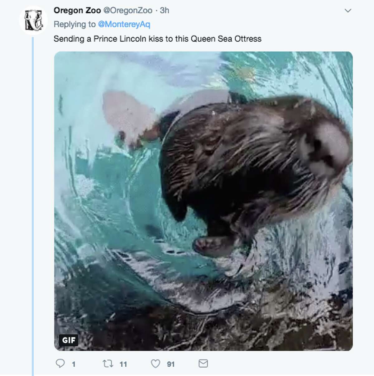 Monterey Bay Aquarium's hefty otter goes viral, gets celebrated with memes