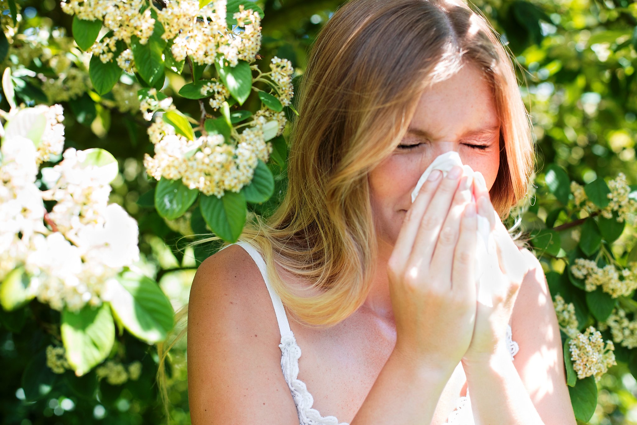Stuffy nose? Physician says Bay Area allergy seasons getting longer, nastier