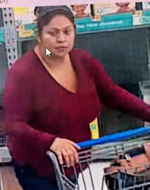 Police asking public's help in finding woman accused of stealing from ...