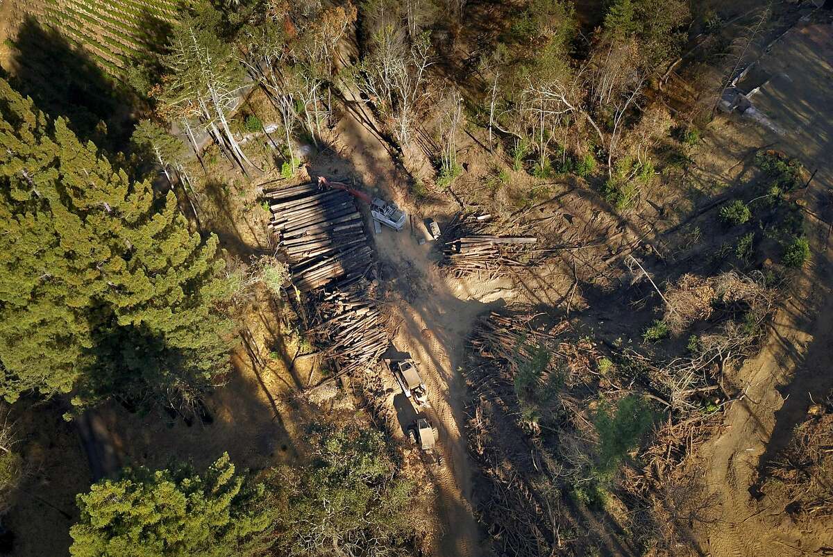 Logs are stacked on the mountainside near Ian Leggat's home off Mt. Vedeer Road in Napa, Calif., on Tuesday, September 4, 2018. Leggat, who owns land on Mt. Veeder, is complaining that his neighbor used the fires last year as an excuse to clearcut a forest of redwoods, which were scorched but mostly survived the fires. Leggat says emergency timber harvesting permits like the one they gave his neighbor are being issued by Cal Fire all across the state, allowing property owners to ignore environmental laws following wildfires.
