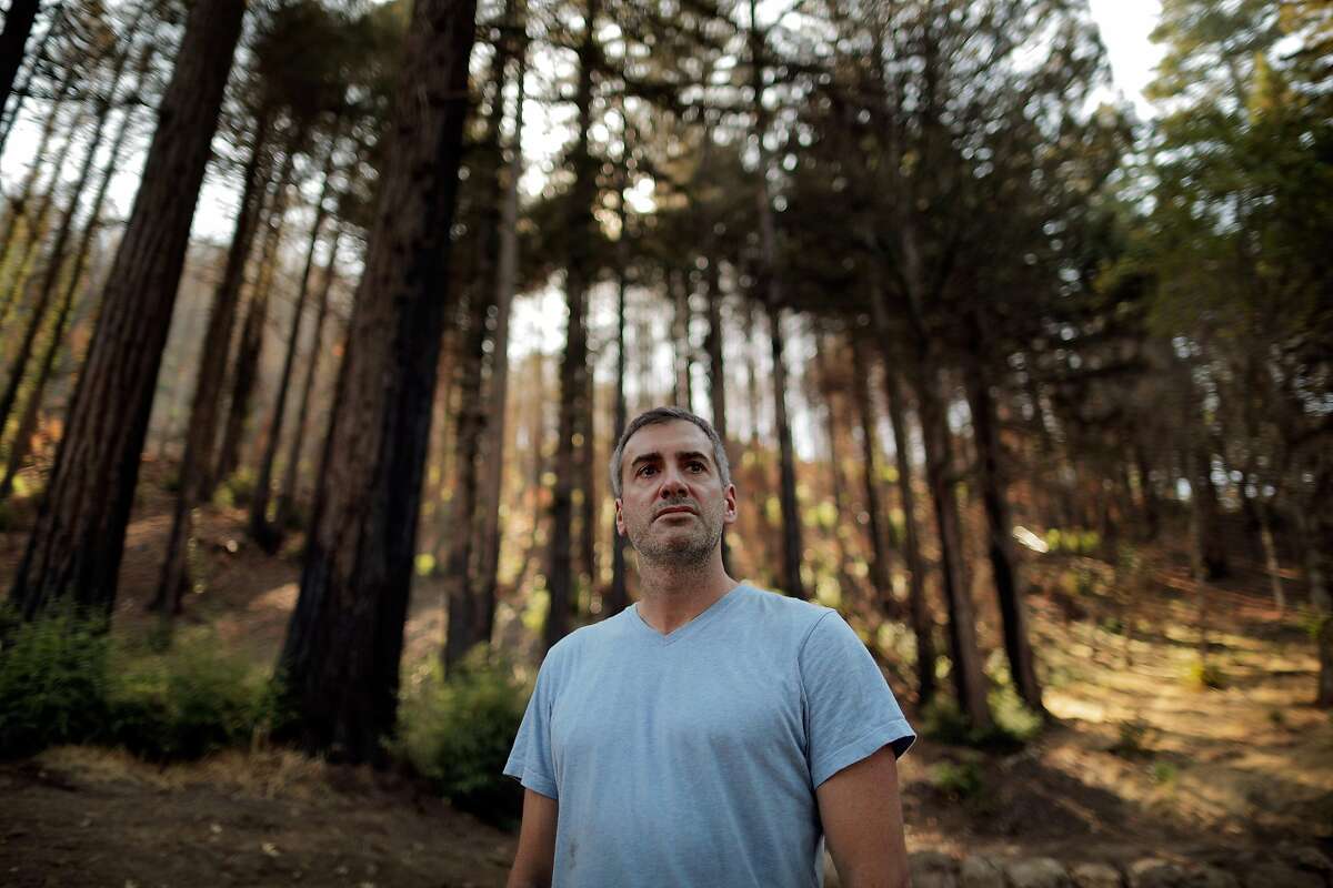 Ian Leggat stands in a grove of trees above his home off Mt. Vedeer Road in Napa, Calif., on Tuesday, September 4, 2018. Leggat, who owns land on Mt. Veeder, is complaining that his neighbor used the fires last year as an excuse to clearcut a forest of redwoods, which were scorched but mostly survived the fires. Leggat says emergency timber harvesting permits like the one they gave his neighbor are being issued by Cal Fire all across the state, allowing property owners to ignore environmental laws following wildfires.