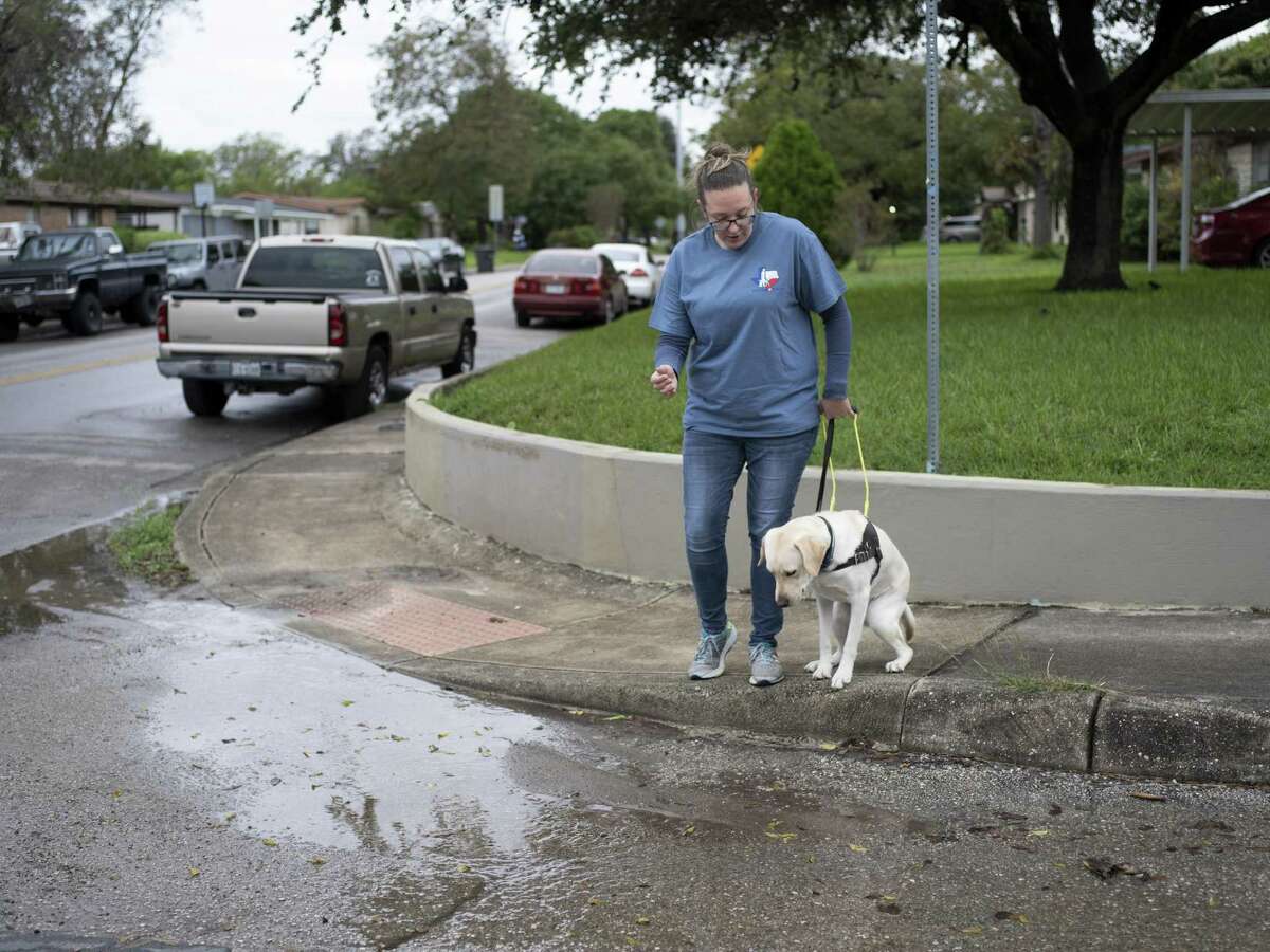 Jamie Massey, director of training at Guide Dogs of Texas, watches as her guide dog in-training Ike stops and assesses the obstacle in front of him before alerting his owner and continuing on, outside of the Guide Dogs of Texas training facility in San Antonio on Friday, November 9, 2018. The guide dogs must be able to alert their legally blind owners of such obstacles as they appear.