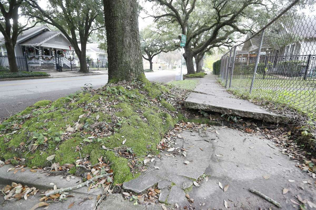 A sidewalk, which is raised up due to tree roots that run under the concrete, poses a risk to joggers and an inconvenience to walkers on Bayland Street in the Heights. Advocates with the 6-year-old Houston Complete Streets Coalition want to work toward a sidewalk plan for the city by assessing the presence and condition of existing sidewalks, compiling the resulting information in a database and using it, alongside identified priorities, to guide decisions on where to install and repair sidewalks. About $83 million is needed to fulfill 580 pending requests for new sidewalks