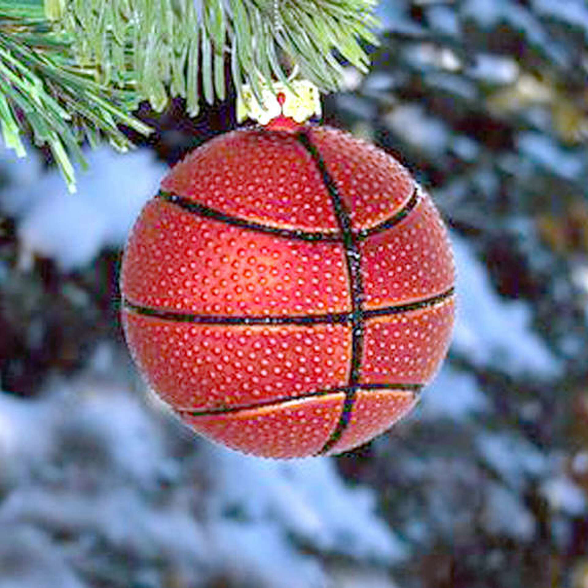 Boys And Girls Holiday High School Basketball Tournament Results