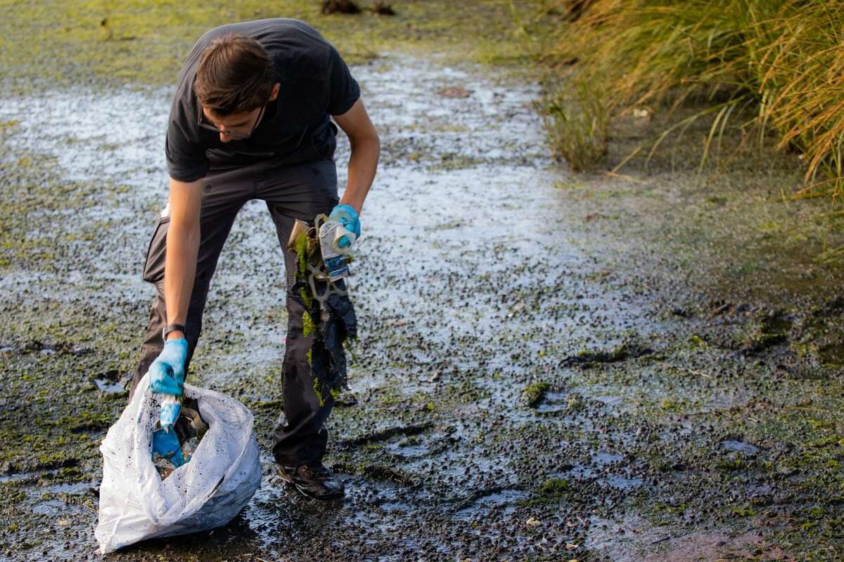 Stephen Urchick, 24, stuffs a handful of plastic bottles and 6-pack rings into a garbage bag. Urchick volunteered to help clean up the Long Wharf as part of the Save the Sound program run by the Connecticut Fund for the Environment. Saturday, Sept. 15, 2018. (Photo by Carl Jordan Castro)