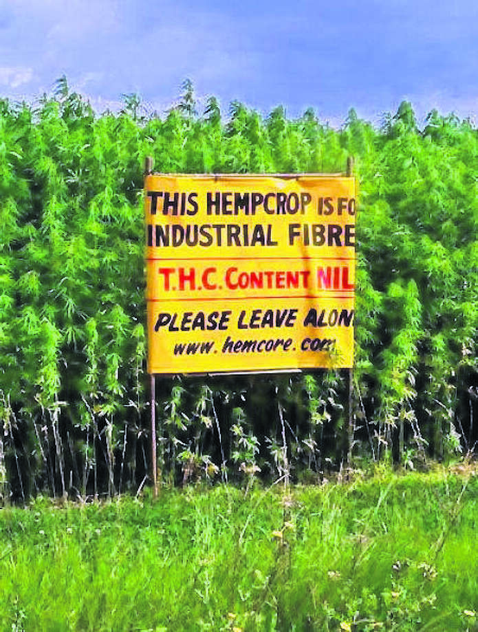 Illinois Industrial Hemp rules out; public has 45 days to ...