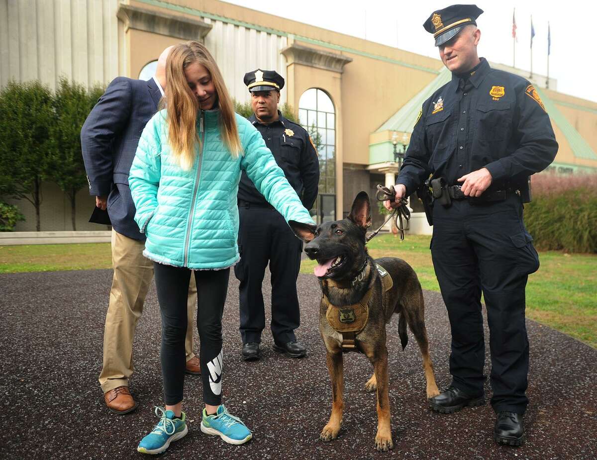 Bridgeport Police Sgt. Erick Norton, right, introduces the department's new explosive detection canine, Dennis, outside the Margaret Morton Government Center in Bridgeport, Conn. on Tuesday, October 23, 2018. At left is Riley Hickey, 11, of Guilford, whose family paid for the dog's acquisition. Hickey's grandfather, Dennis Hickey, for whom the dog is named, was the owner of Bridgeport-based business Sonitrol Security Systems.