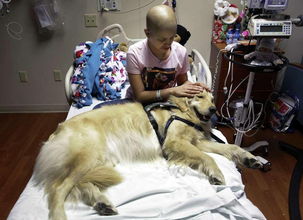 Yadi Benavides, a cancer patient at Methodist Children's Hospital, pets Hazel, a facility dog. Hazel is one of two dogs working at the hospital.