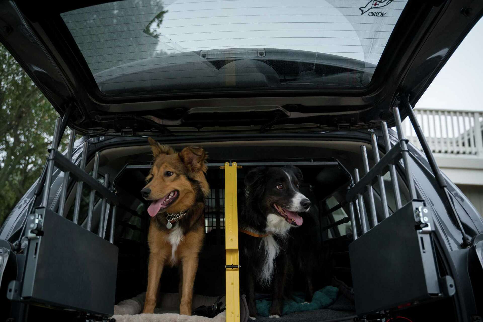 Search and rescue volunteers carry out difficult task of finding wildfire  victims