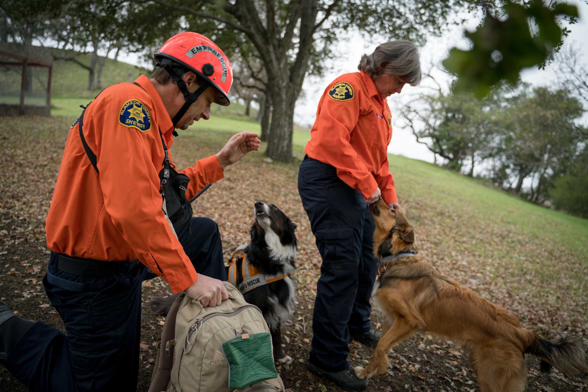 Search and rescue volunteers carry out difficult task of finding wildfire  victims