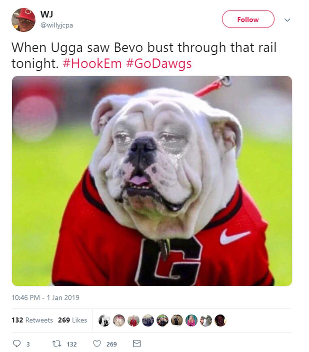 People Can't Stop Joking About Bevo The Longhorn Charging At Uga The ...