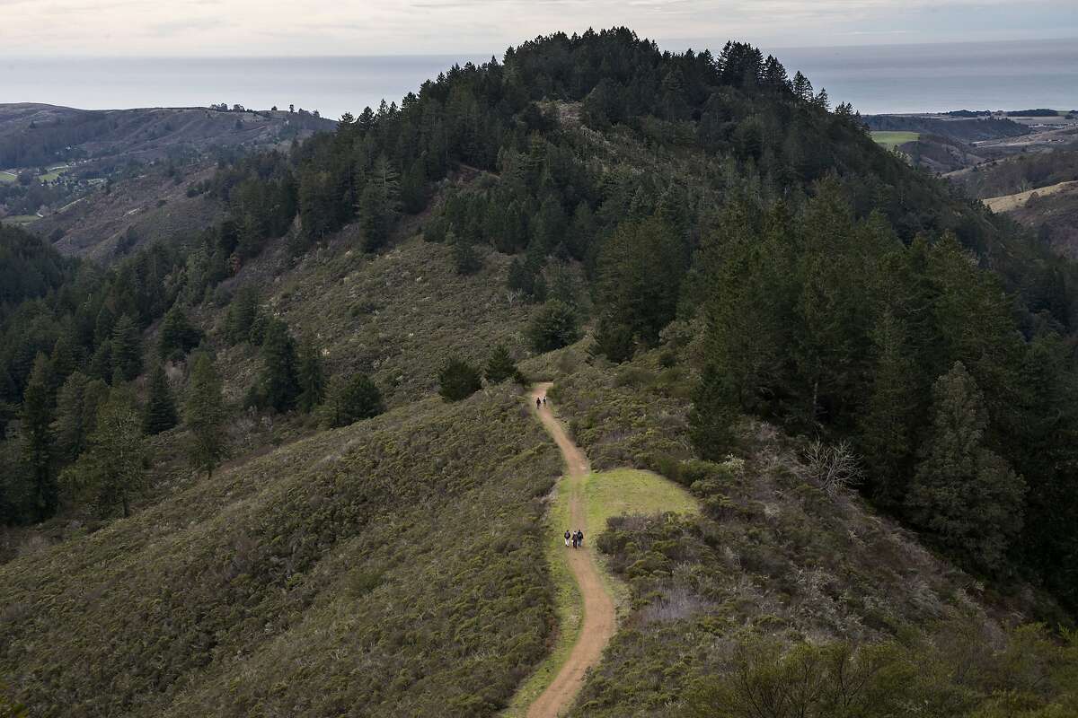 Hikers viewed from the North Ridge Trail in Purisima Creek Redwoods Open Space Preserve on Saturday, Dec. 22, 2018, in San Mateo County, Calif.