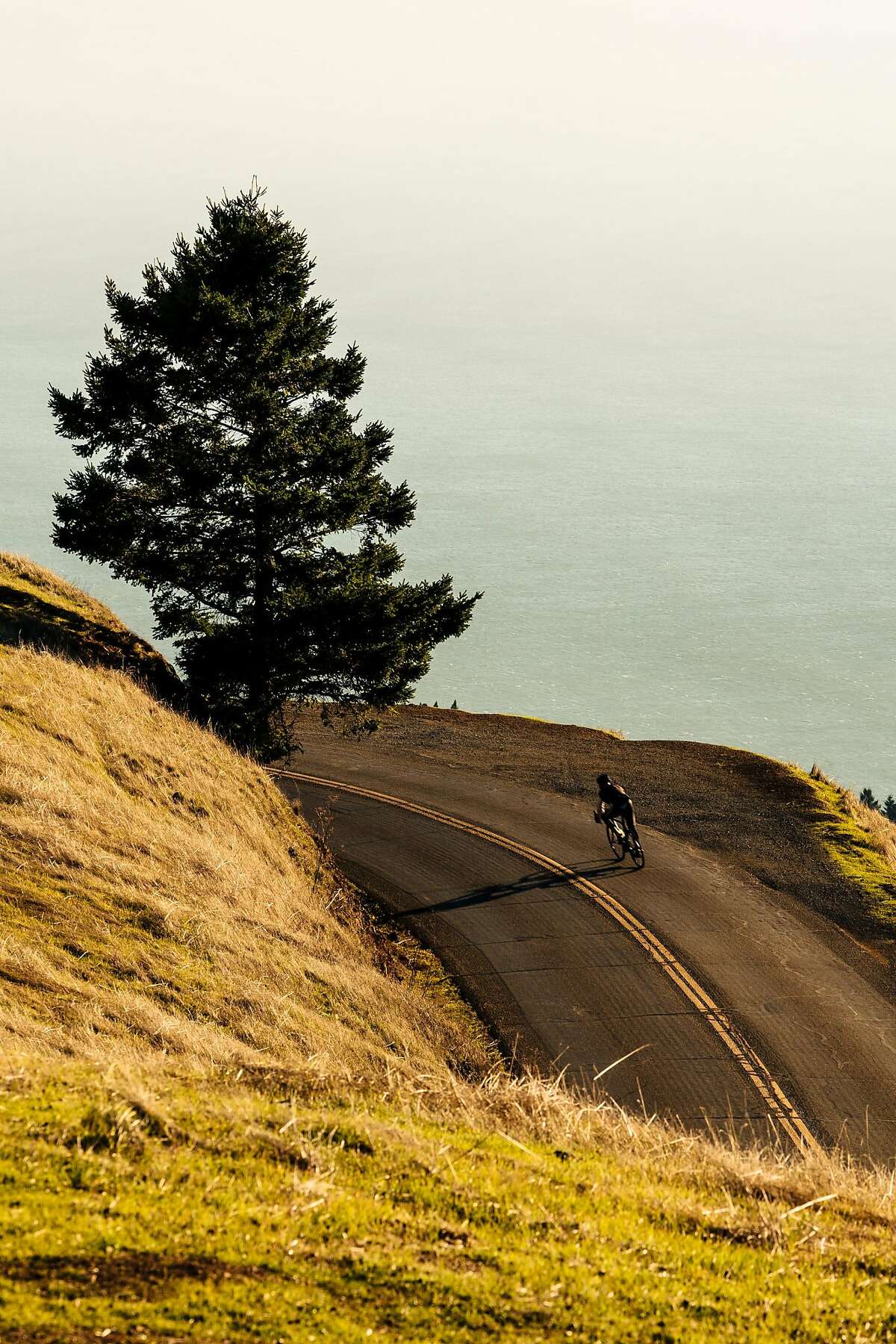 A biker makes his way down Mount Tamalpais State Park in Mill Valley, Calif., on Thursday, Dec. 13, 2018.