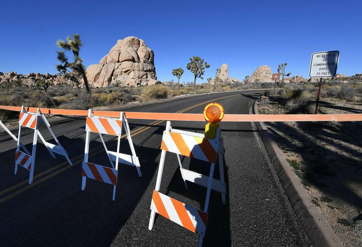 Joshua trees cut down, desert vandalized at Joshua Tree National Park