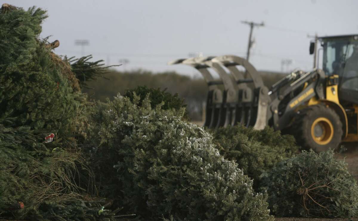 The city of San Antonio's Bitters Brush Recycling Center at 1800 Wurzbach Parkway will be among several locations accepting live Christmas trees to recycle into mulch.
