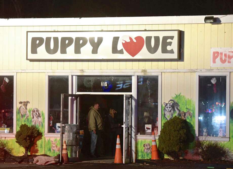 the puppy store