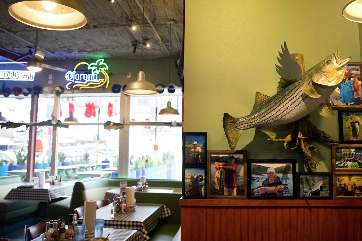 First look Flying Fish in the Heights