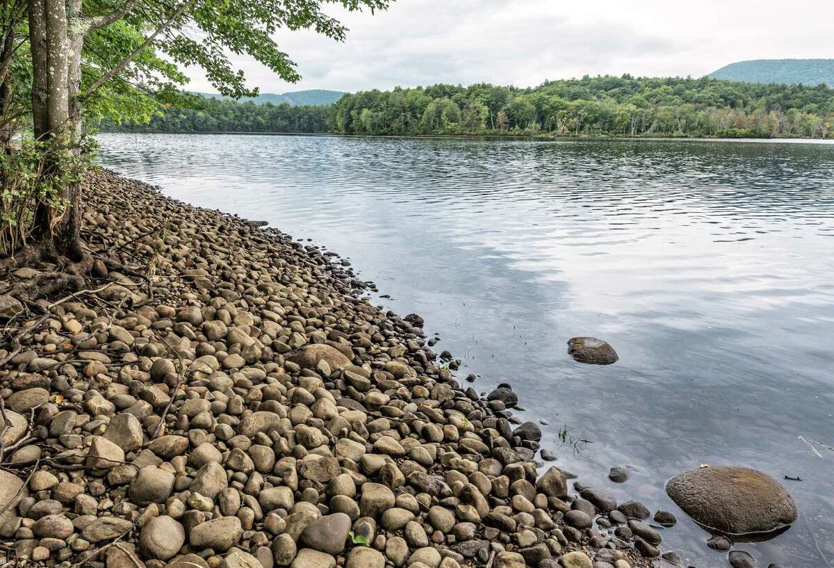 The Open Space Institute has purchased 890-acres of forest and wetland, which it will permanent protect and eventually transfer to its neighbor, Moreau Lake State Park. (Provided by Open Space Institute)